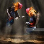 Làm Thế Nào Để Gà Mau Sung Sức Thi Đấu